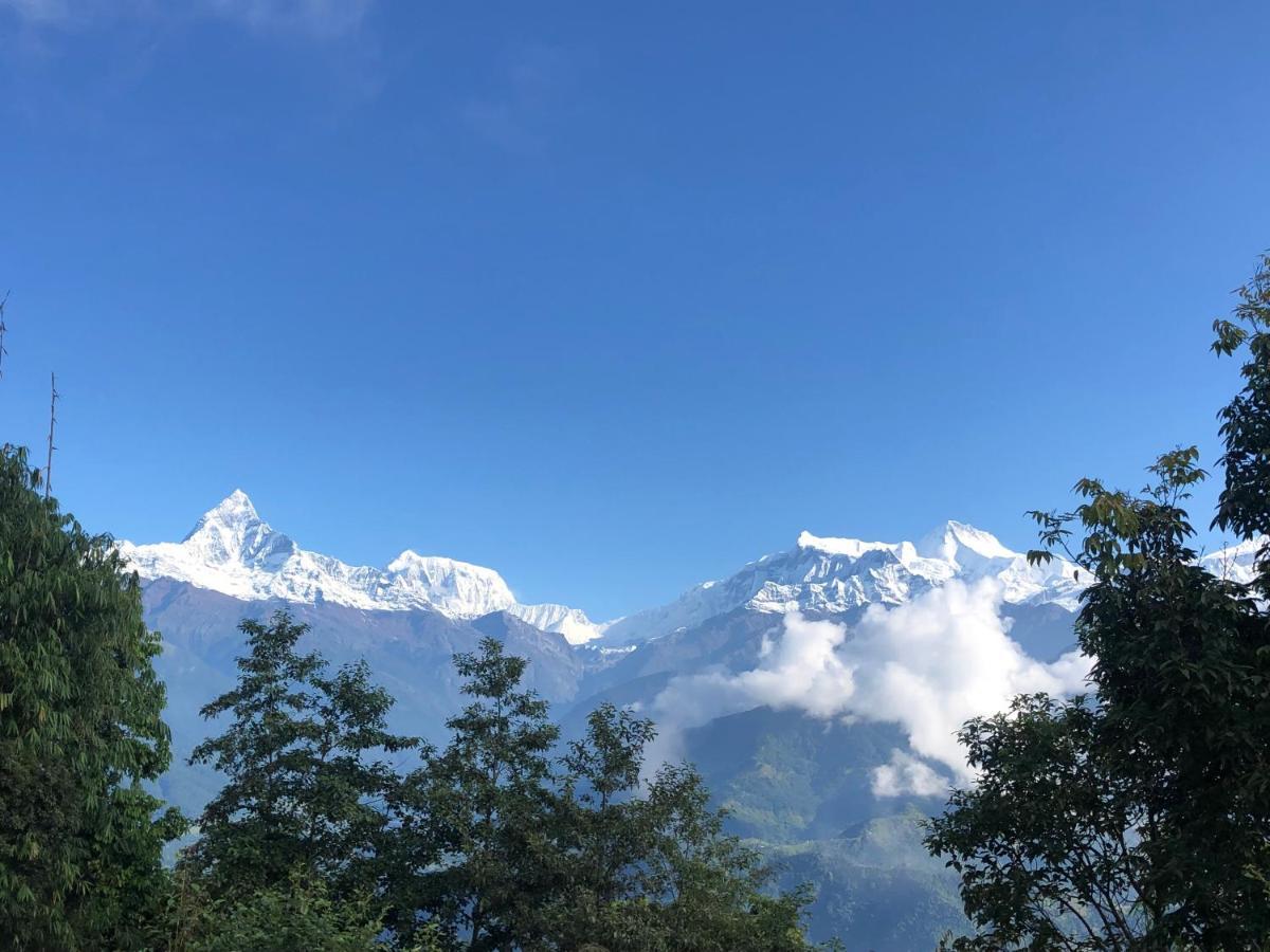 Hotel Pristine Himalaya Pokhara Eksteriør bilde